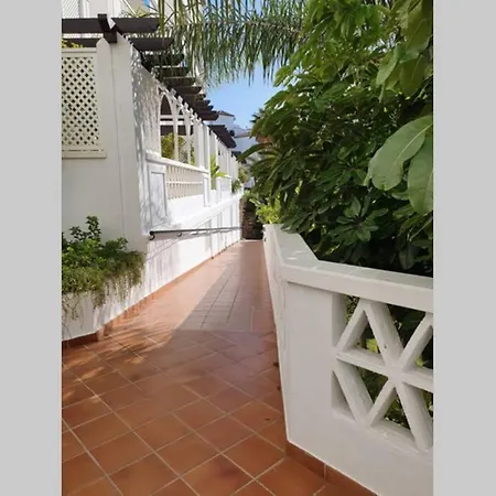 Familiar Y Luminoso Exclusivo. Apartamento
